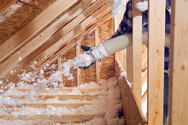 Best Spray Foam Insulation  in USA